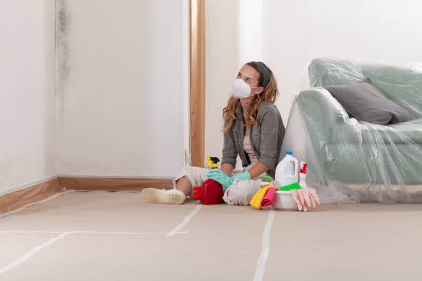 Reliable Mold Remediation contractor in Cranford, NJ by Cheap Mold Removal